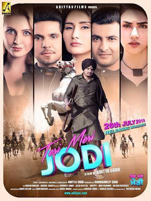 Teri Meri Jodi 2019