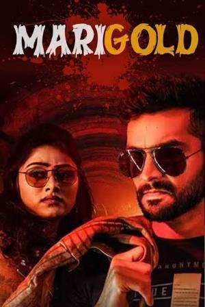 Marigold 2024