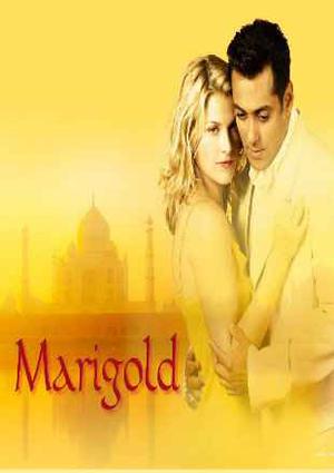 Marigold 2007