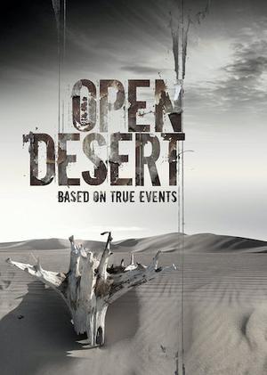 Open Desert 2013