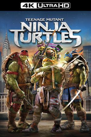Teenage Mutant Ninja Turtles 2014