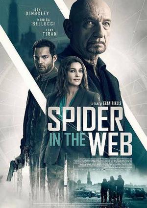 Spider In The Web 2019